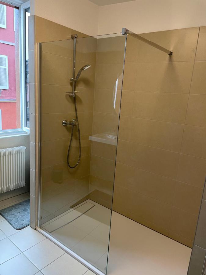 קולמר Appartement Le Fil D'Or מראה חיצוני תמונה