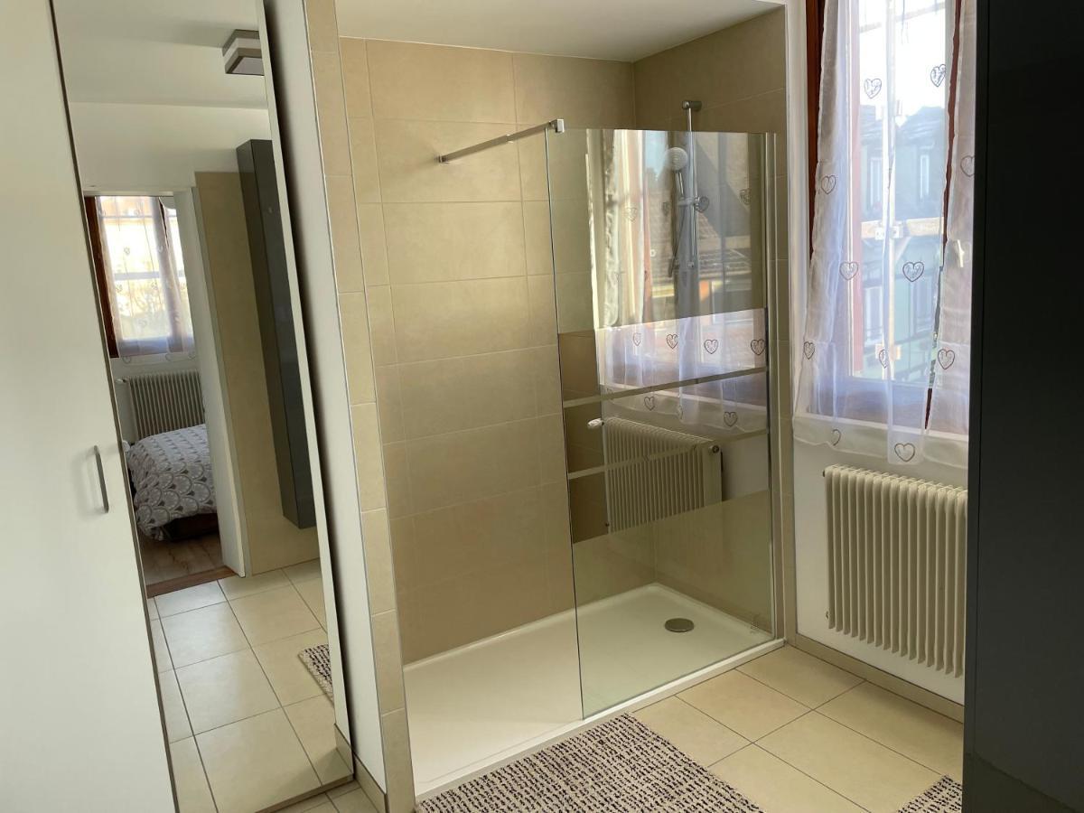 קולמר Appartement Le Fil D'Or מראה חיצוני תמונה